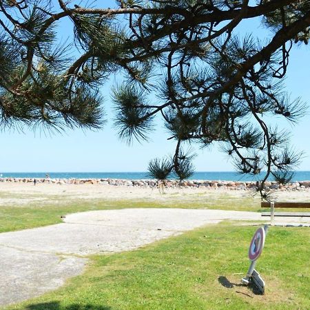 Appartement Cosy Avec Mezzanine, 6 Couchages, A 500M De La Mer - St Cyprien - Fr-1-225D-168 圣西普里安 外观 照片
